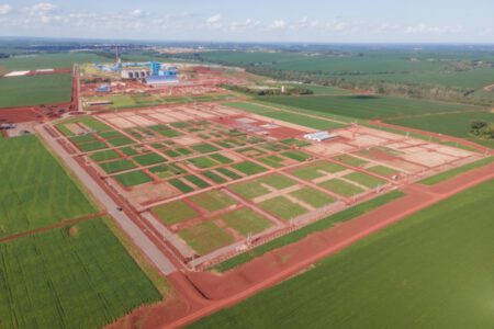 C.Vale – Dia de Campo de Verão retorna em novo espaço 