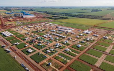 C.Vale retoma edições presenciais do Dia de Campo 