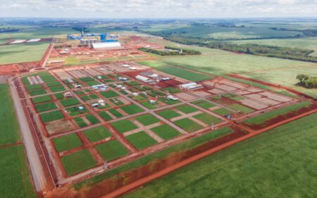 C.Vale – Falta uma semana para o Dia de Campo C.Vale