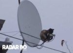 Tevevisão – “Sky Gato”; Até 7 milhões de aparelhos serão bloqueados no Brasil