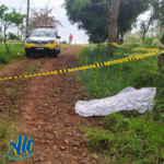 Assassinato – Padrasto é morto por enteado após discussão em Diamante D’Oeste