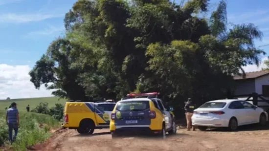 Tragédia – Ao podar árvore homem morre ao ser atingido no Paraná