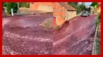 Portugal – Depósito de vinho estoura e transforma rua em ‘Rio de vinho’ (veja o vídeo)