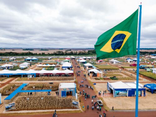 Palotina – Pesquisadores participam de dia de campo da C.Vale
