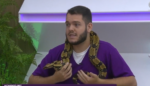Animais – O que você precisa saber antes de ter uma serpente de estimação (Veja o vídeo)