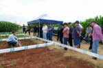 C.Vale – Dia de Campo de Inverno da C.Vale reúne produtores de milho