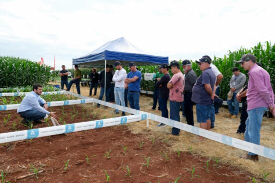 C.Vale – Dia de Campo de Inverno da C.Vale reúne produtores de milho