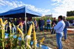 C.Vale promove Dia de Campo de Inverno