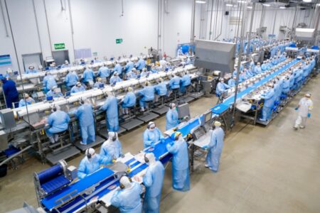 C.Vale – Aumento de produção e qualidade constante