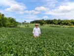 C.Vale – Mestre das sementes de soja no Cerrado